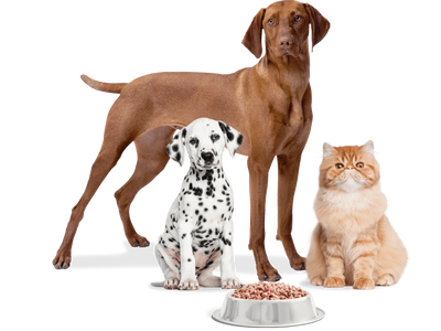 Test1· (Copy) (Copy)