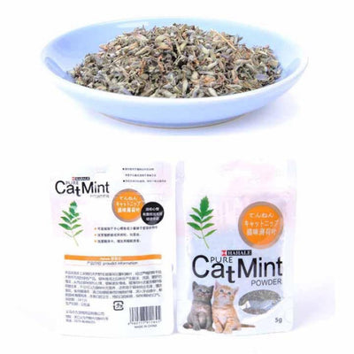 Cỏ Catnip - Cỏ mèo tiêu búi lông thơm miệng giảm stress - Huna
