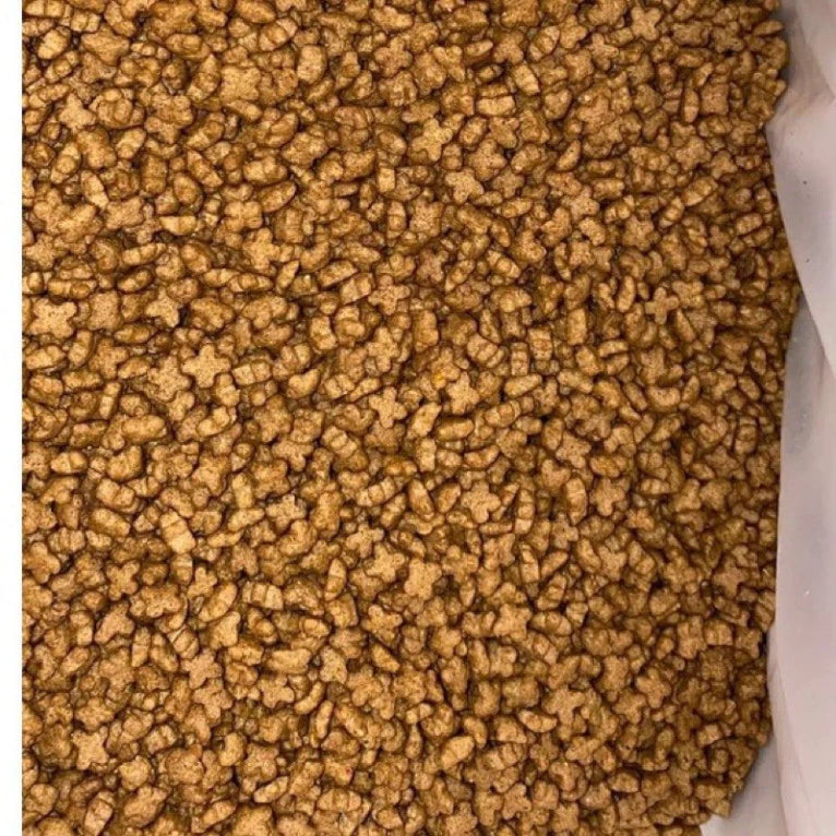 Hạt Catchy Kitten 400gr - Thức ăn hạt cho mèo con giàu dinh dưỡng - Huna