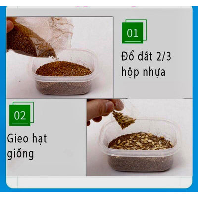 Hộp 5 gói hạt giống cỏ mèo và đất trồng giúp bổ xung chất xơ, tiêu búi lông cho mèo - Huna