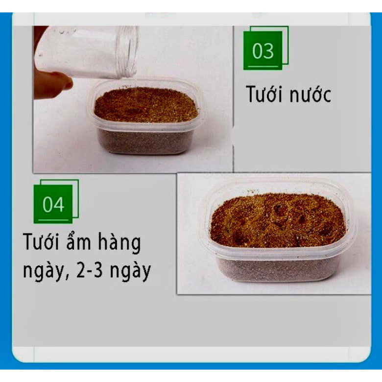 Hộp 5 gói hạt giống cỏ mèo và đất trồng giúp bổ xung chất xơ, tiêu búi lông cho mèo - Huna