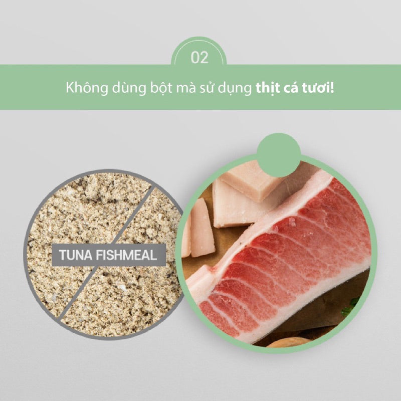 Pate Nutri Plan Premium Dish cho mèo 85g - 동원F&B 뉴트리플랜
