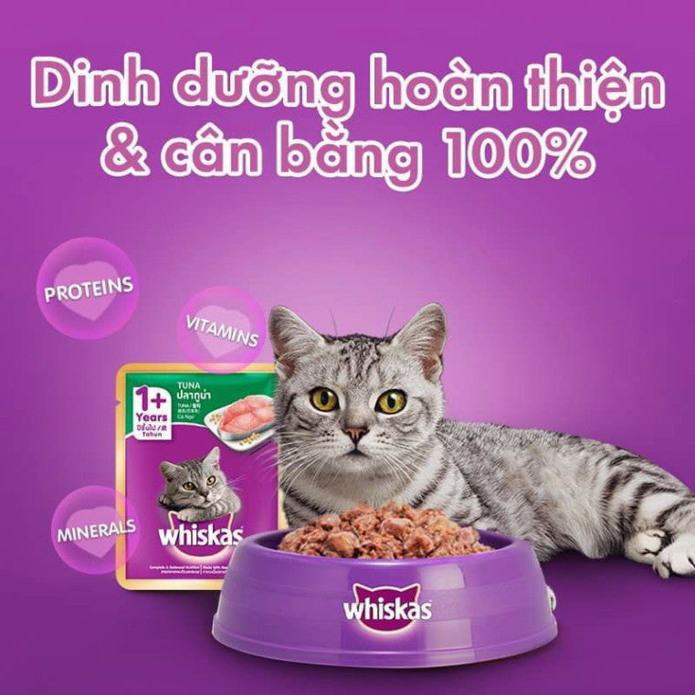 Pate Whiskas cho mèo con mèo lớn gói 80g - Huna