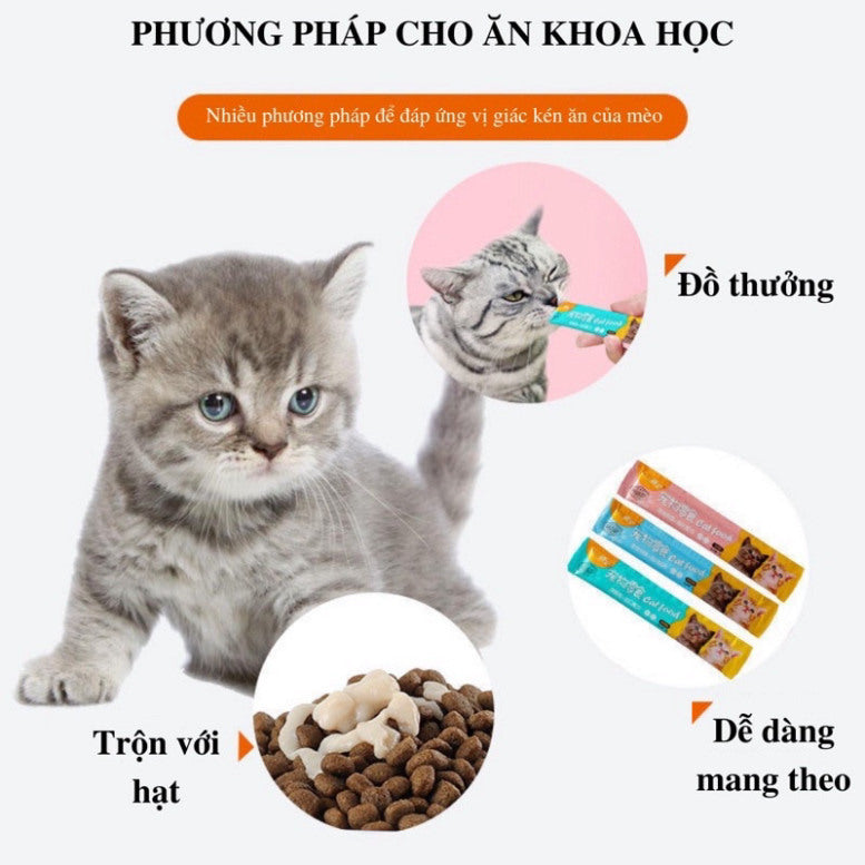 Súp thưởng Shizuka cho mèo, pet snack chó mèo Ciao Wang Soup shizuka siêu rẻ - Huna
