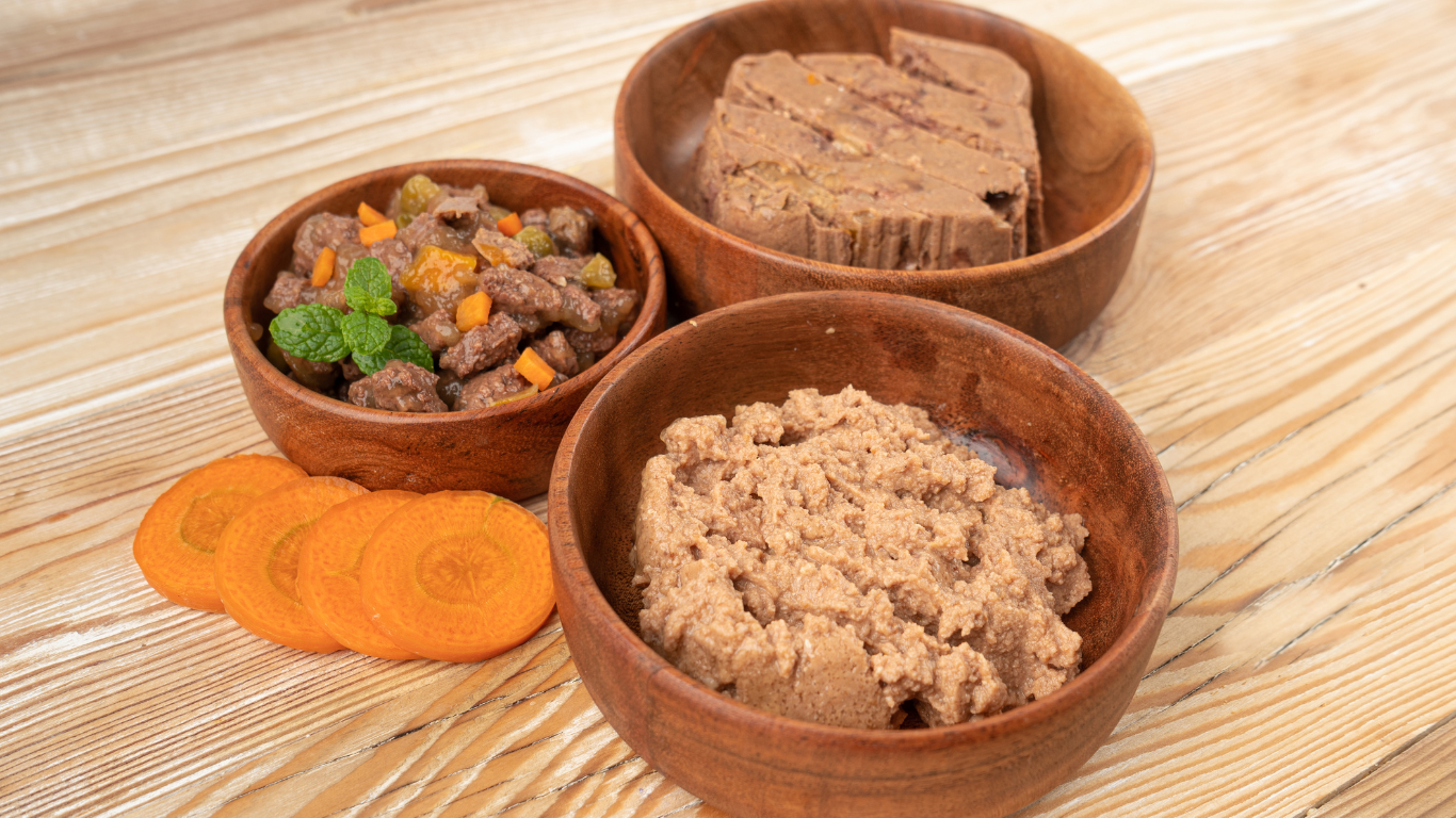 Pate cho mèo: Hướng dẫn đầy đủ từ A–Z để chọn đúng thức ăn ướt cho mèo khỏe mạnh
