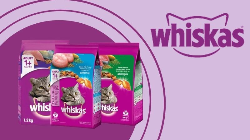 Pate Whiskas có tốt không? Cách sử dụng pate Whiskas đúng cho mèo