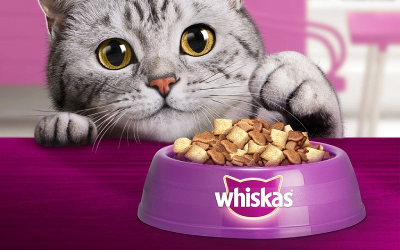 Hạt Whiskas có tốt không? Những điều người nuôi mèo cần biết trước khi dùng
