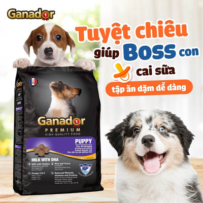 Thức Ăn Cho Chó Ganador - Hạt Khô Cho Chó Con Và Chó Lớn 400g - Huna