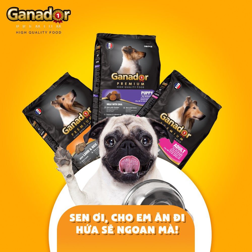 Thức Ăn Cho Chó Ganador - Hạt Khô Cho Chó Con Và Chó Lớn 400g - Huna