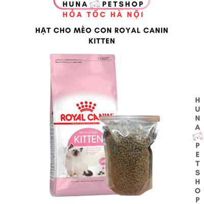Thức ăn hạt cho mèo con Royal Canin Kitten