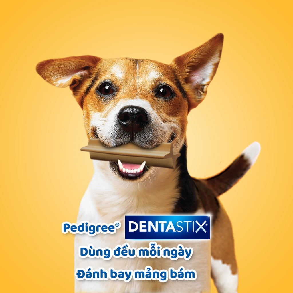 Xương Gặm Chăm Sóc Răng Miệng Cho Chó mọi lứa tuổi PEDIGREE Dentastix - Hương vị thịt gà xông khói